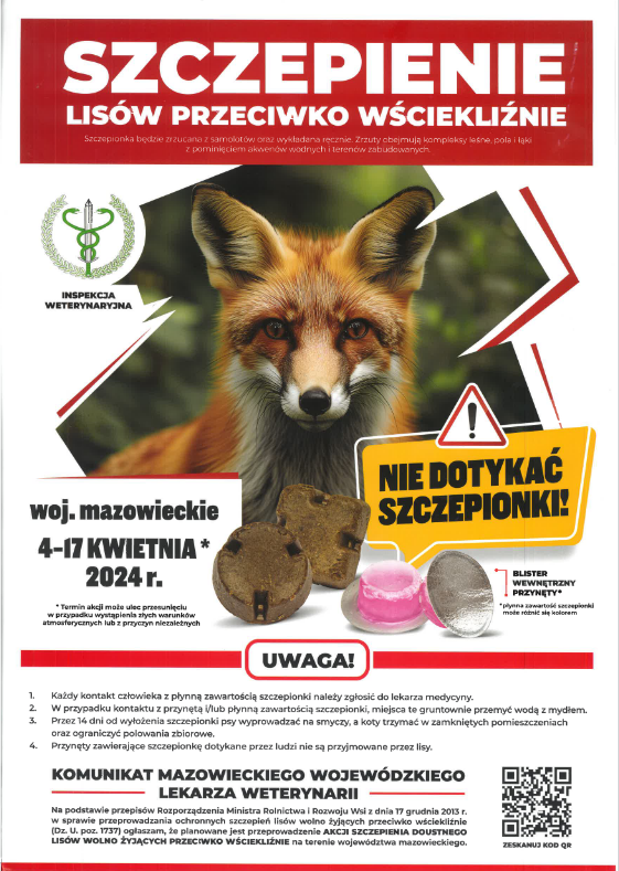 Plakat - Szczepienie lisów przeciwko wściekliźnie